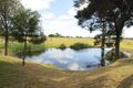 Property photo of 433 Thagoona Haigslea Road Mount Marrow QLD 4306
