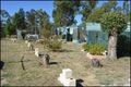 Property photo of 274 Wallaby Drive Cypress Gardens QLD 4357