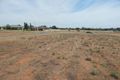 Property photo of 20 Anniversary Drive Robinvale VIC 3549