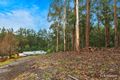 Property photo of 212 Emerald-Monbulk Road Monbulk VIC 3793