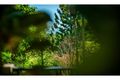 Property photo of 5 Dillon Close Bellingen NSW 2454