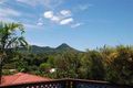 Property photo of 19 Golden Penda Place Mullumbimby NSW 2482