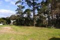 Property photo of 4187 Princes Highway Greigs Flat NSW 2549