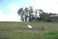 Property photo of LOT 4 Strathbogie Lane Murrulebale NSW 2652