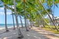 Property photo of 2207/2-22 Veivers Road Palm Cove QLD 4879