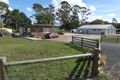 Property photo of 50 Dairy Plains Road Needles TAS 7304