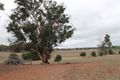 Property photo of 23 Comini Road Dumberning WA 6312