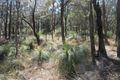 Property photo of 128 Mount Wheeler Road Bondoola QLD 4703