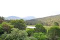 Property photo of 1987 Nowendoc Road Mount George NSW 2424