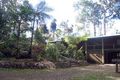 Property photo of 155 Figtree Close Malanda QLD 4885