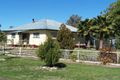 Property photo of 88 Warialda Street Pallamallawa NSW 2399