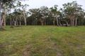 Property photo of 55 Paradise Drive Weyba Downs QLD 4562