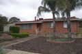 Property photo of 43 Emerald Drive Ingle Farm SA 5098