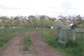 Property photo of 55 Parkland Crescent Mickleham VIC 3064