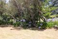 Property photo of 59 Marlin Street Smiths Beach VIC 3922