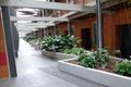 Property photo of 36/36 Vernon Terrace Teneriffe QLD 4005
