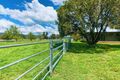 Property photo of 5033 Nundle Road Nundle NSW 2340