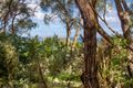 Property photo of 43 Byrnes Road Shoreham VIC 3916