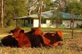 Property photo of LOT 15 Oaky Valley Avenue Mutchilba QLD 4872