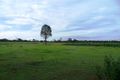 Property photo of 17 Markai Road Lockyer Waters QLD 4311