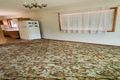Property photo of 17 Fourth Avenue Campsie NSW 2194