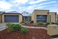 Property photo of 16 Exmoor Avenue Oaklands Park SA 5046