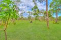 Property photo of 35 Josefski Road Agnes Water QLD 4677