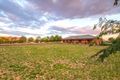 Property photo of 135 Moobi Road Scone NSW 2337