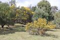 Property photo of 111 Johnson Road Yass River NSW 2582