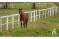 Property photo of 47 Phar Lap Parade Karalee QLD 4306