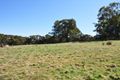 Property photo of 432 Lower Lewis Ponds Road Clifton Grove NSW 2800