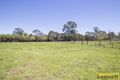 Property photo of 143 Wilshire Road Londonderry NSW 2753