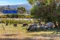 Property photo of 16478 Tasman Highway Bicheno TAS 7215
