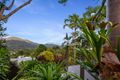 Property photo of 20 Eugenia Crescent Redlynch QLD 4870