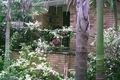 Property photo of 9 Widden Court Worongary QLD 4213