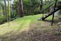Property photo of 13 Bluegum Crescent Frenchs Forest NSW 2086