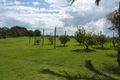 Property photo of 11665 Summerland Way Fairy Hill NSW 2470