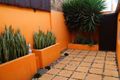Property photo of 51 Mackey Street Surry Hills NSW 2010