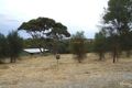 Property photo of 1482 Redbanks Road American River SA 5221