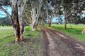 Property photo of 55 Repeater Station Road Naracoorte SA 5271