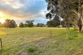 Property photo of 55 Repeater Station Road Naracoorte SA 5271