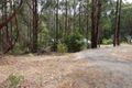 Property photo of 17 Wells Road Mirboo North VIC 3871