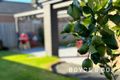 Property photo of 10 Gary Avenue Drouin VIC 3818