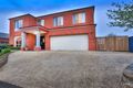 Property photo of 31 Ironbark Circuit Pakenham VIC 3810