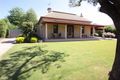 Property photo of 26 Staehr Street Nuriootpa SA 5355