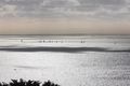 Property photo of 27 Pacific Terrace Mount Martha VIC 3934