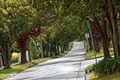 Property photo of 50 Swinburne Avenue Hawthorn VIC 3122