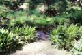 Property photo of 221 Ferny Bridge Road Forest TAS 7330