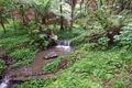 Property photo of 20 Cole Avenue Belgrave VIC 3160
