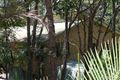 Property photo of 11 Dewrang Drive Pimpama QLD 4209